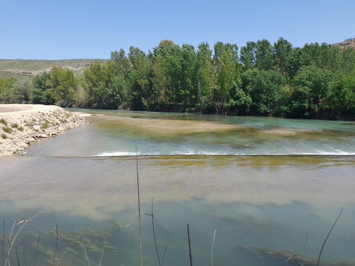 Foto 57 van Avenida Juan Ramón Jiménez 2