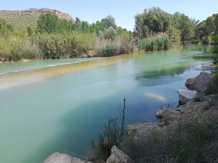 Foto 59 van Avenida Juan Ramón Jiménez 2