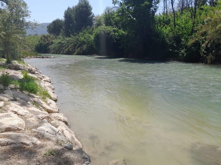 Foto 61 van Avenida Juan Ramón Jiménez 2