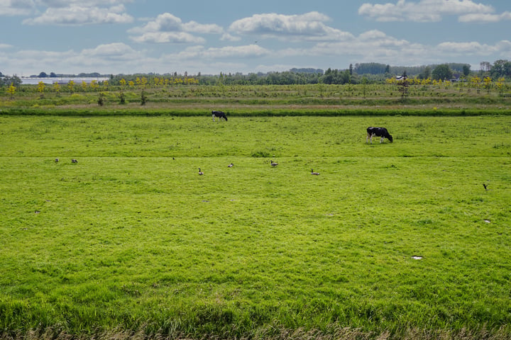 Bekijk foto 43 van Hofweg 26