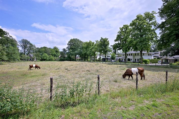 Bekijk foto 3 van Lindelaan 13