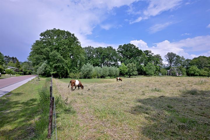 Bekijk foto 50 van Lindelaan 13