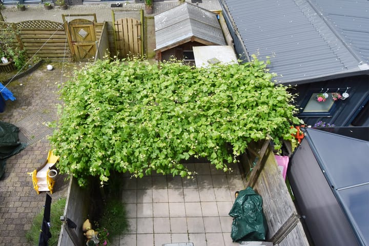 Foto 38 van Jacob Schorerlaan 195