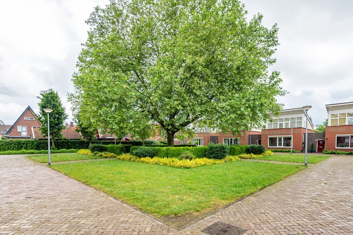 Foto 48 van Alfred Mozerhof 15