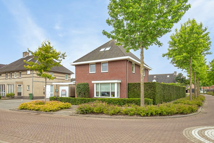 Foto 7 van Streepgraniet 8