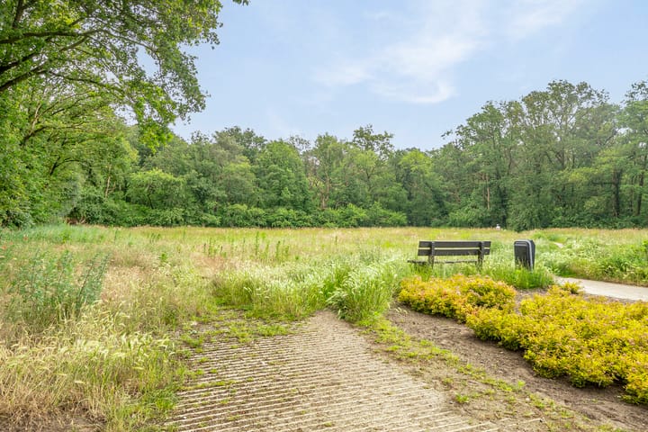 Foto 57 van Streepgraniet 8