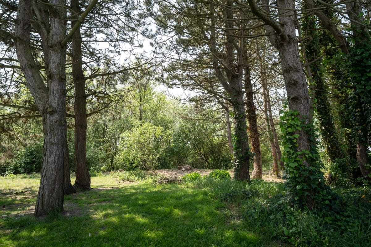 Foto 35 van Roggeslootweg 627