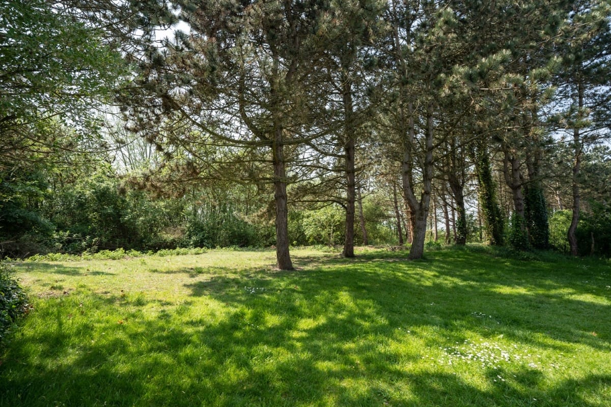 Foto 36 van Roggeslootweg 627