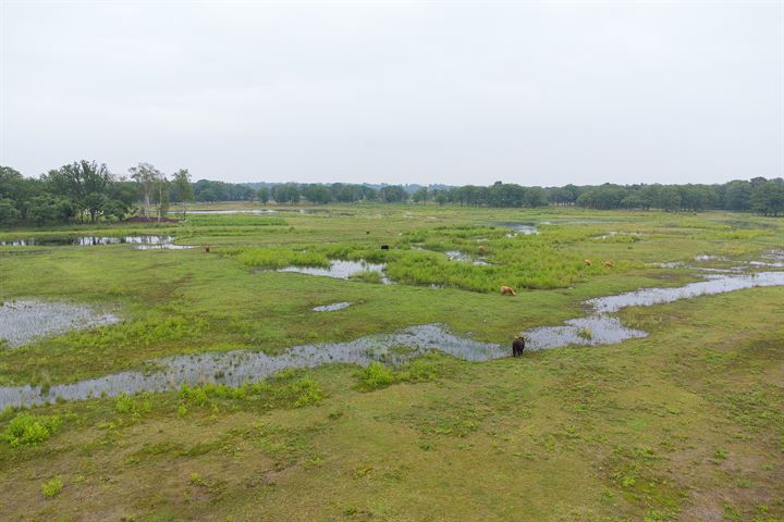 Bekijk foto 37 van Gashouder 35