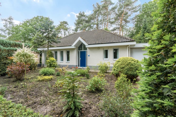 Foto 2 van Kievit 12-B242