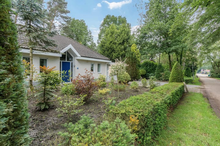 Foto 3 van Kievit 12-B242