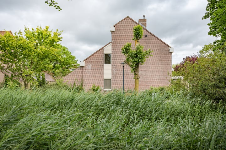 Bekijk foto 31 van Houtzaagmolen 119