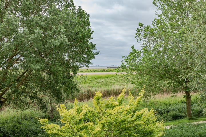 Bekijk foto 33 van Houtzaagmolen 119