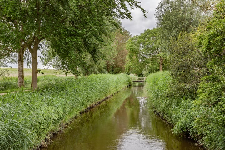 Bekijk foto 36 van Houtzaagmolen 119