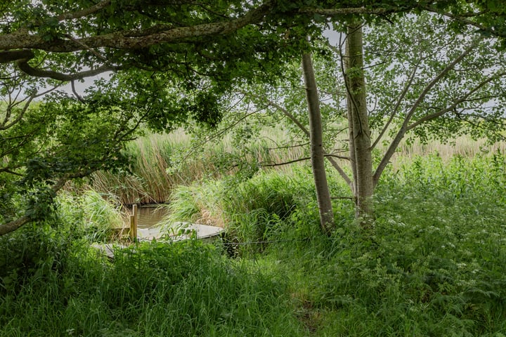 Bekijk foto 37 van Houtzaagmolen 119