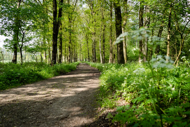 Bekijk foto 25 van Kerkendelweg 30-08