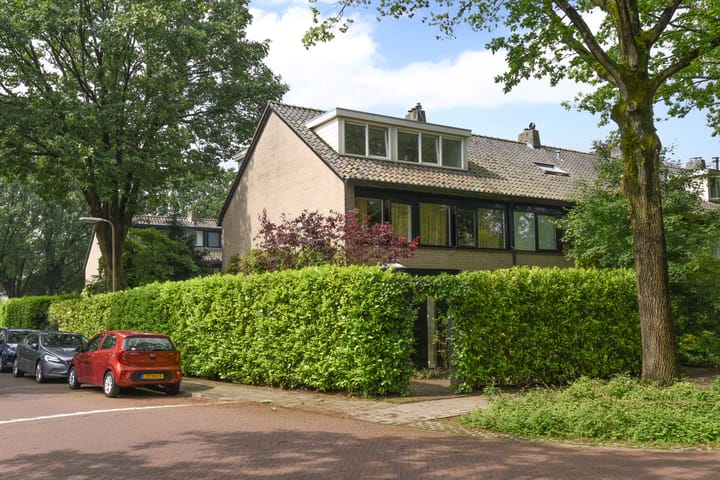 undefined main image