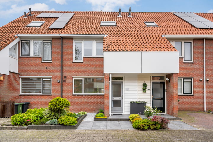 Bekijk foto 1 van Lisdodde 3