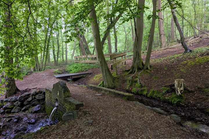 Bekijk foto 17 van Witteweg 4-Z