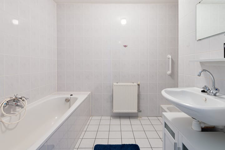 Foto 11 van de Lentenier 4