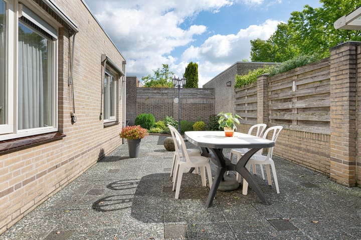 Foto 16 van de Lentenier 4