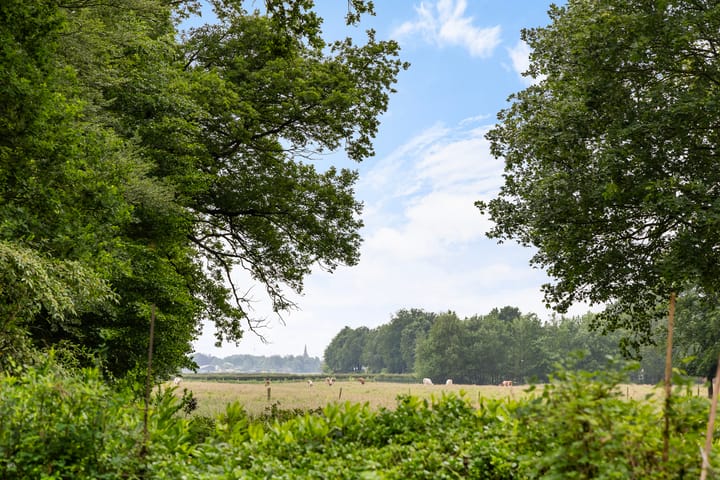 Foto 2 van Vuursche Dreef 48-A