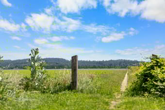 Migaweg tertiary image