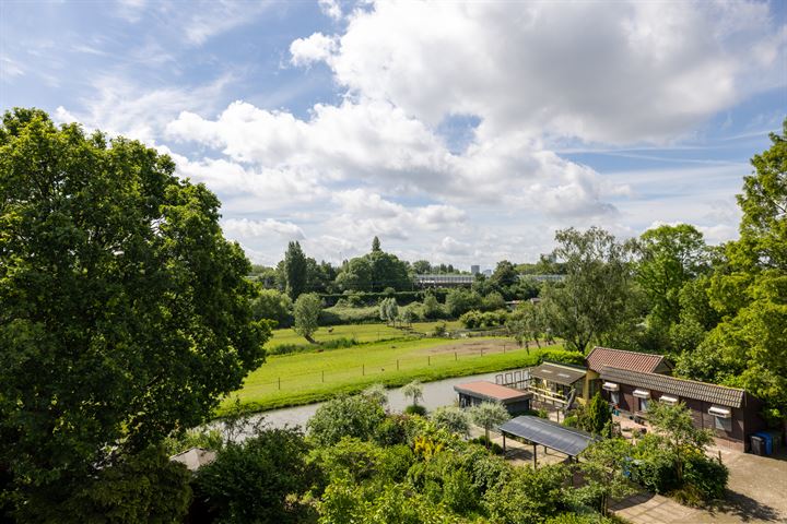 Bekijk foto 5 van Bergse Linker Rottekade 41