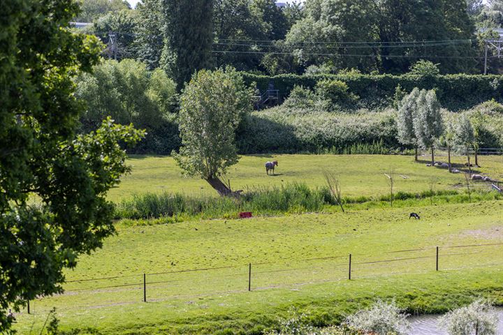 Bekijk foto 38 van Bergse Linker Rottekade 41