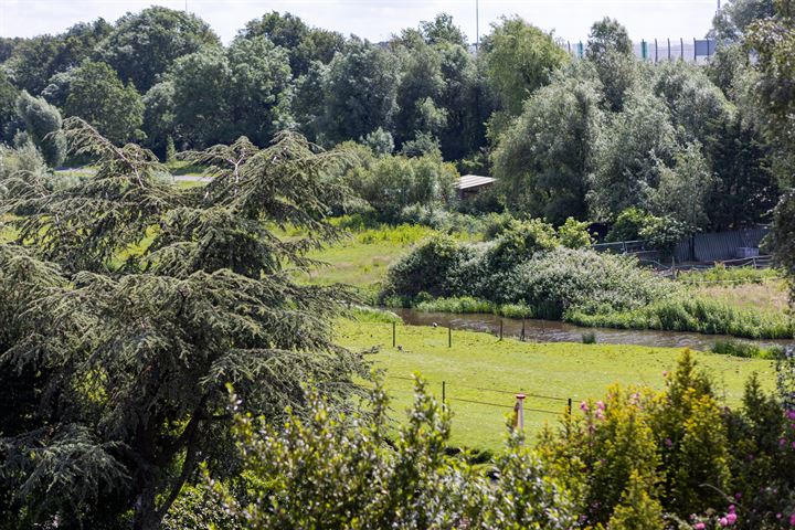 Bekijk foto 39 van Bergse Linker Rottekade 41