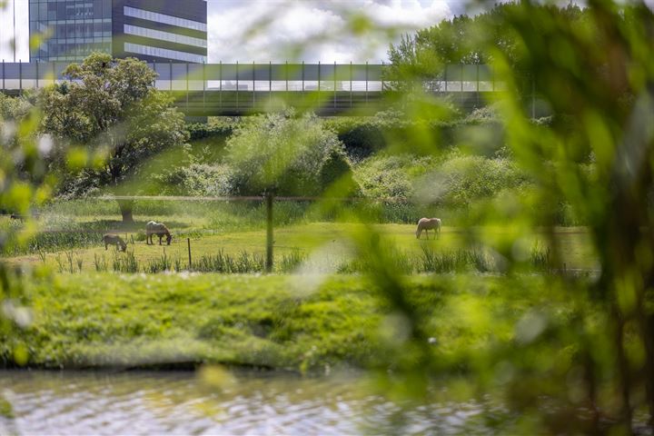 Bekijk foto 60 van Bergse Linker Rottekade 41