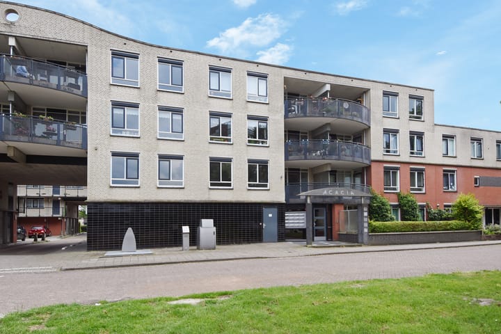 Foto 4 van Acaciazoom 35