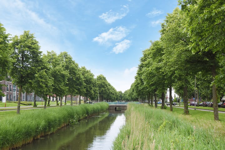 Foto 38 van Acaciazoom 35