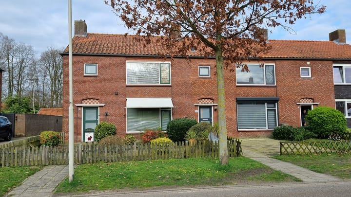undefined main image