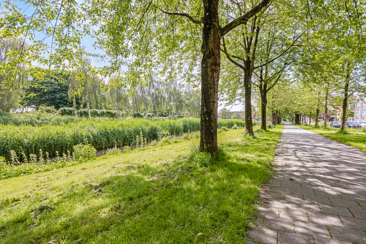 Bekijk foto 40 van A. Noordewier-Reddingiuslaan 165