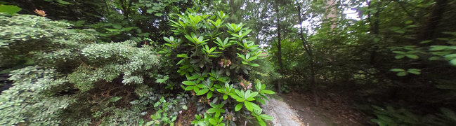 Bekijk 360° foto van Tuin van Hof van Halenweg 2-161