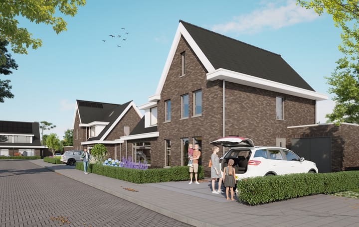 Foto 1 van Boterbloem