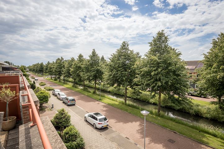 Bekijk foto 30 van Blauwe Reiger 41