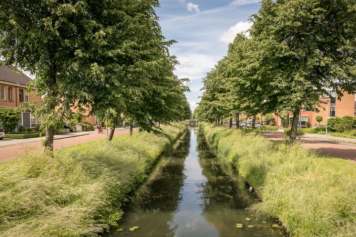 Bekijk foto 39 van Blauwe Reiger 41