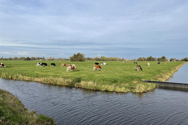 Bekijk foto 34 van Zwanebloem 27