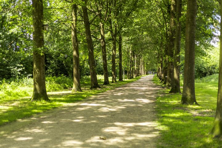 Bekijk foto 32 van Valkenkamp 443