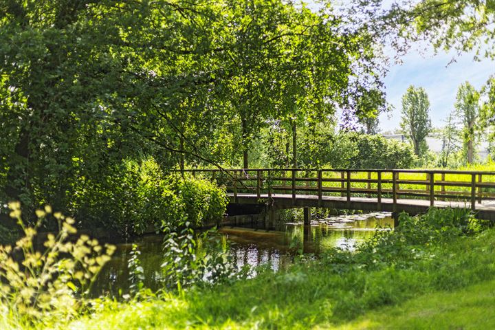 Bekijk foto 33 van Valkenkamp 443