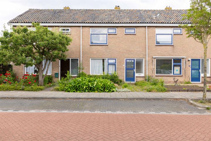 Bekijk foto 1 van Dr W Dreesstraat 12