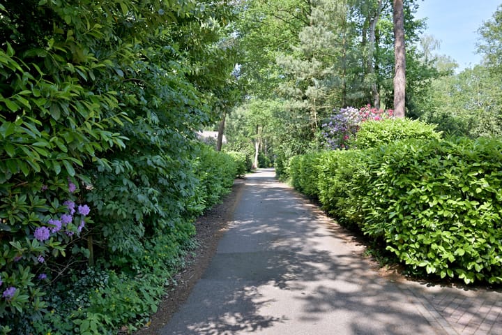 Foto 42 van Looërmark 68