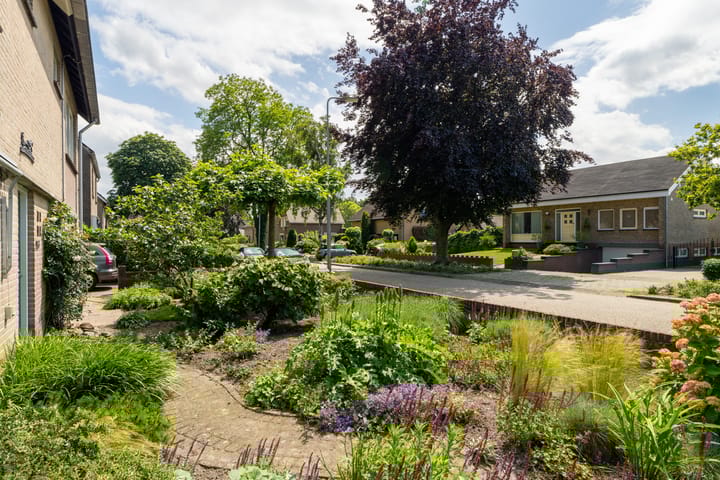 Foto 10 van Schotse Hooglandersstraat 63