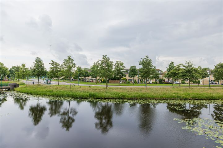 Bekijk foto 44 van Mien Ruyspark 39