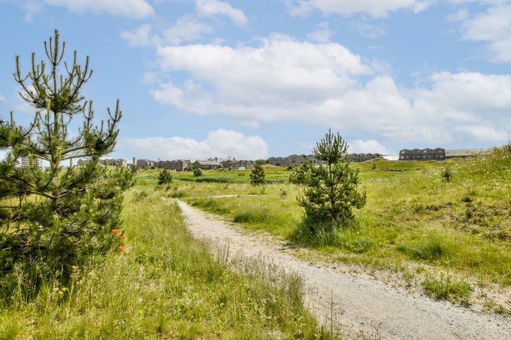 Bekijk foto 31 van Sterduinstraat 121