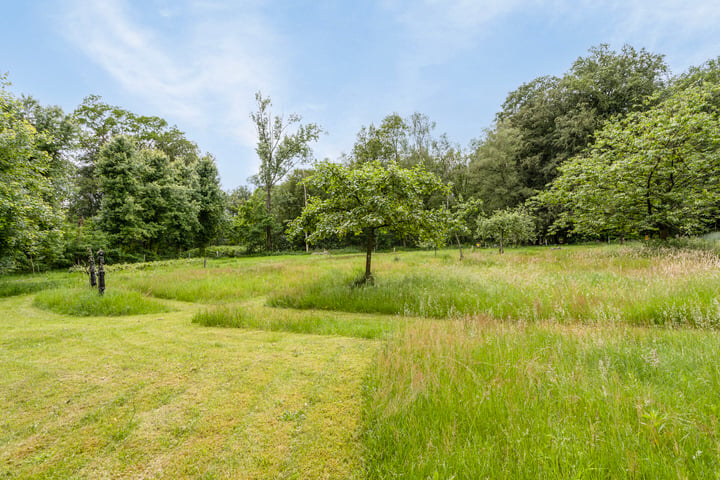 Bekijk foto 4 van Haanwijk 6