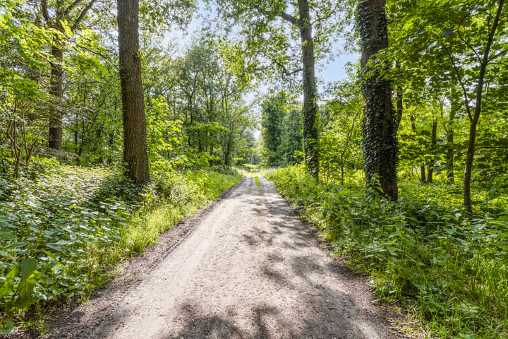 Bekijk foto 41 van Haanwijk 6