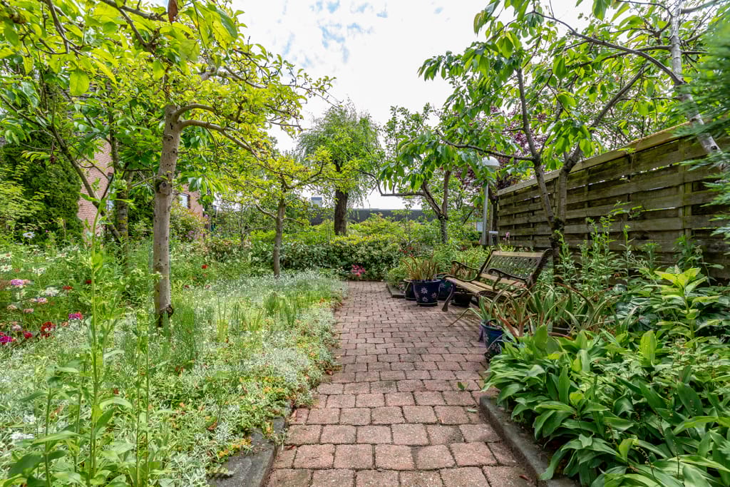 Foto 63 van Munstermanstraat 1